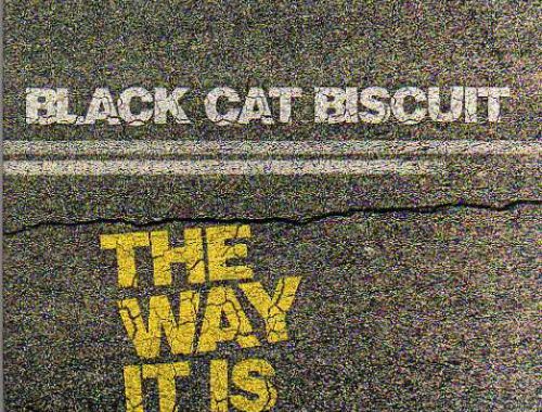 Black Cat Biscuit The Way It Is